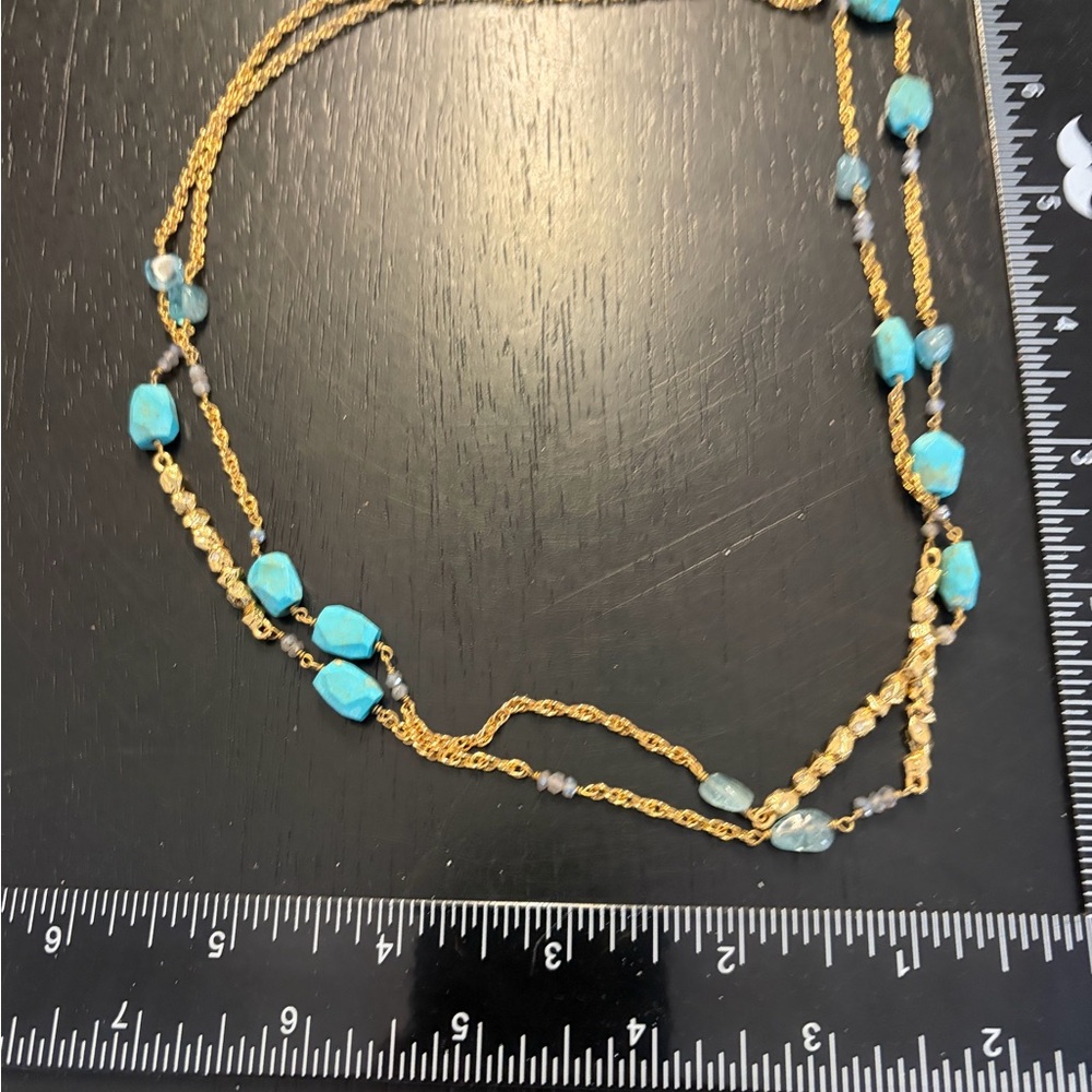 Alexis Bittar long necklace